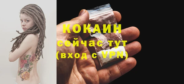 дживик Вязьма