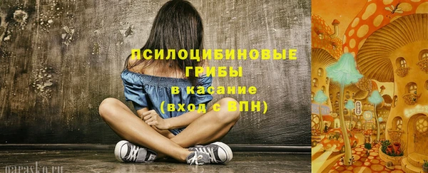 мдпв Горно-Алтайск