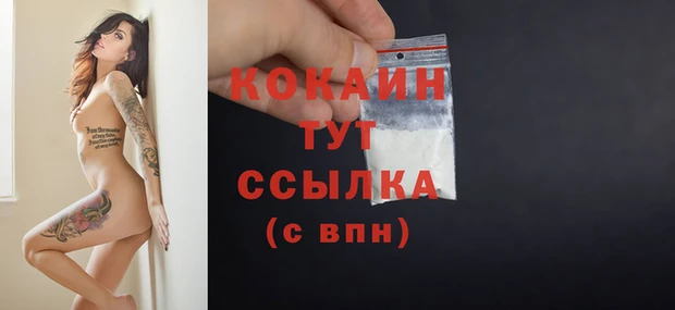 дживик Вязьма
