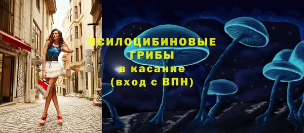 мдпв Горно-Алтайск