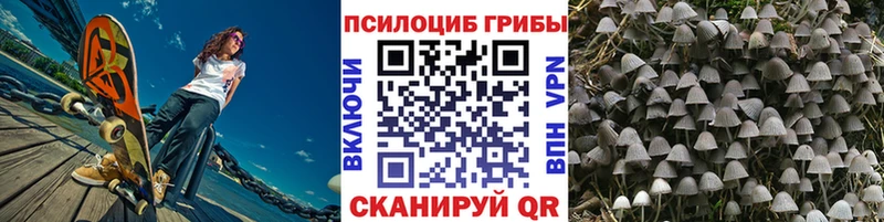 Псилоцибиновые грибы Psilocybine cubensis  блэк спрут ONION  Гусев 