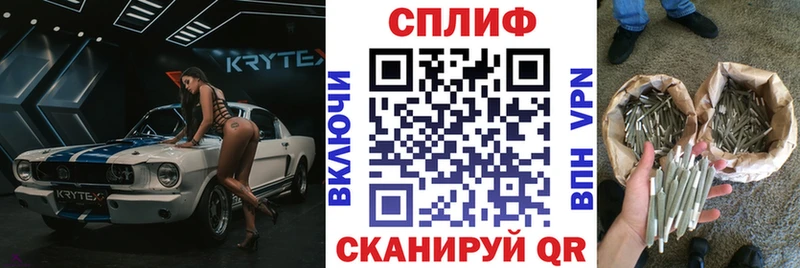 Каннабис SATIVA & INDICA  Гусев 